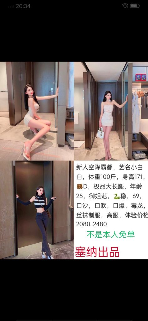 塞纳-小白鬼谷子优选霸都精选