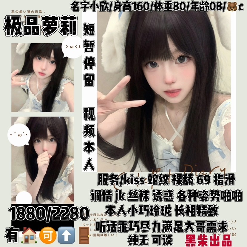 黑柴-小欣鬼谷子优选霸都精选