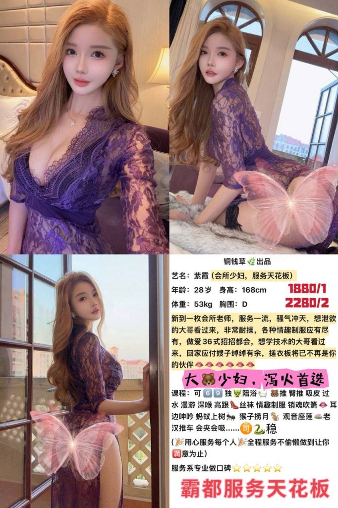 铜钱草-紫霞鬼谷子优选霸都精选