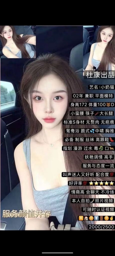 杜康-小奶猫鬼谷子优选霸都精选